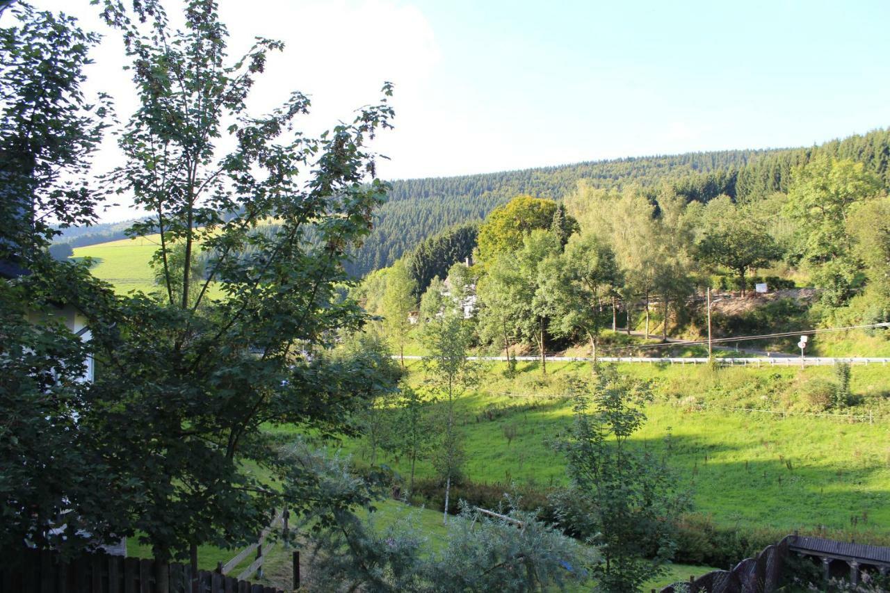 Haus Talblick Villa Schmallenberg Esterno foto