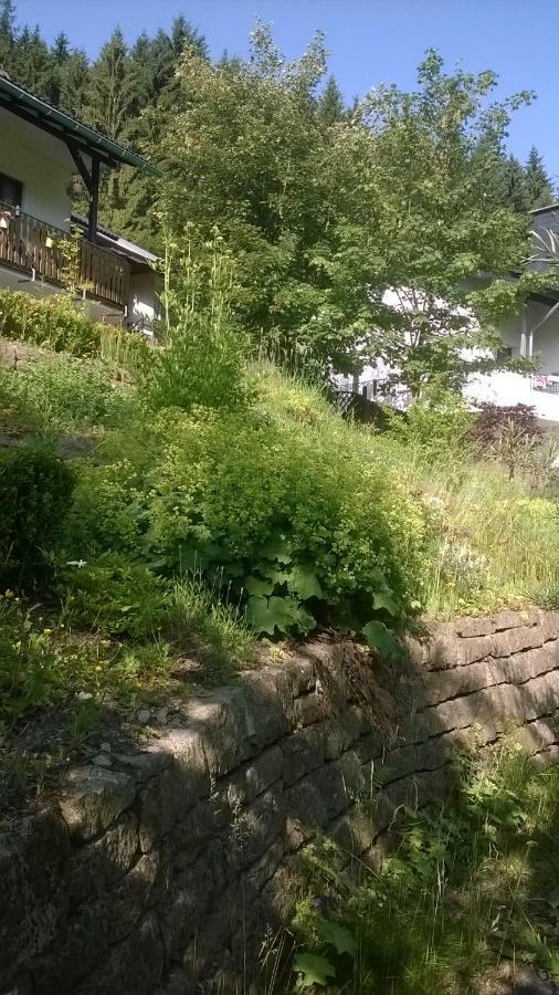 Haus Talblick Villa Schmallenberg Esterno foto
