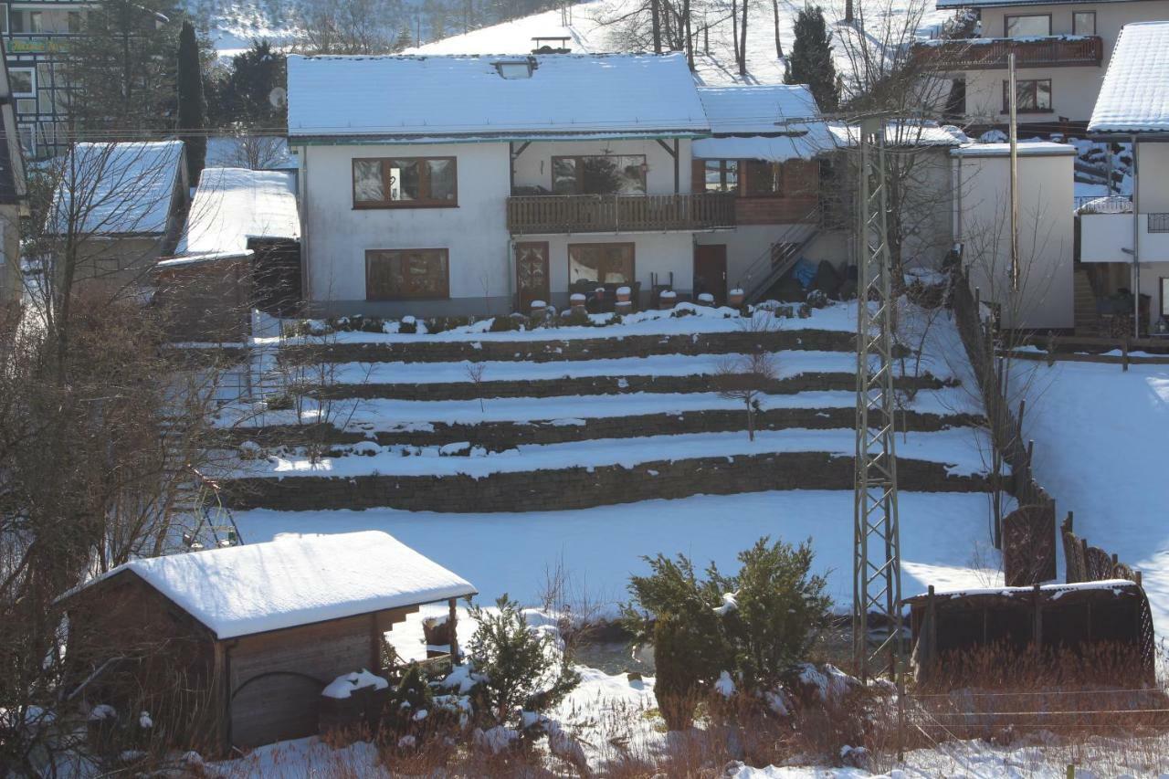 Haus Talblick Villa Schmallenberg Esterno foto